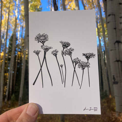 Asteraceae Print