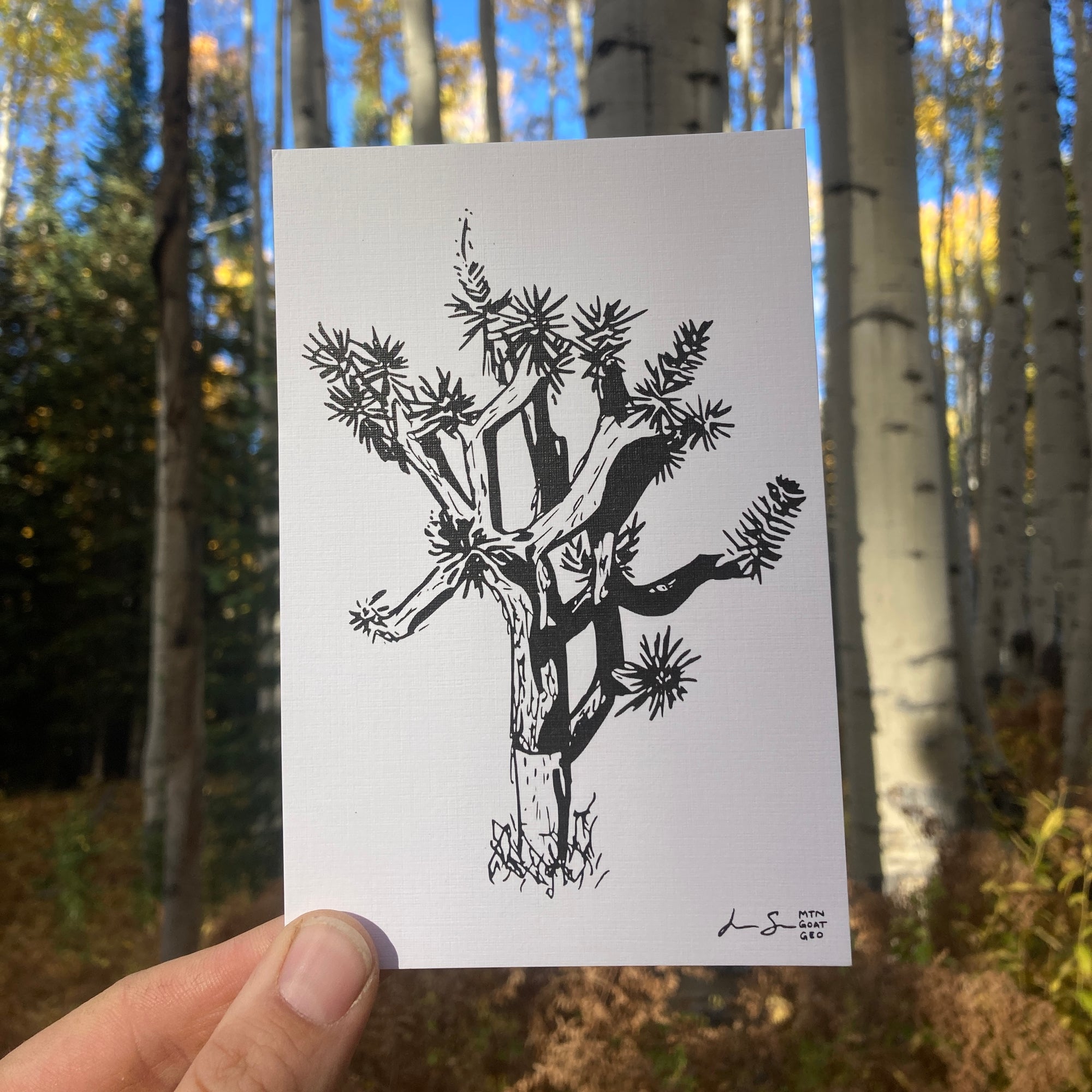 Joshua Tree Print