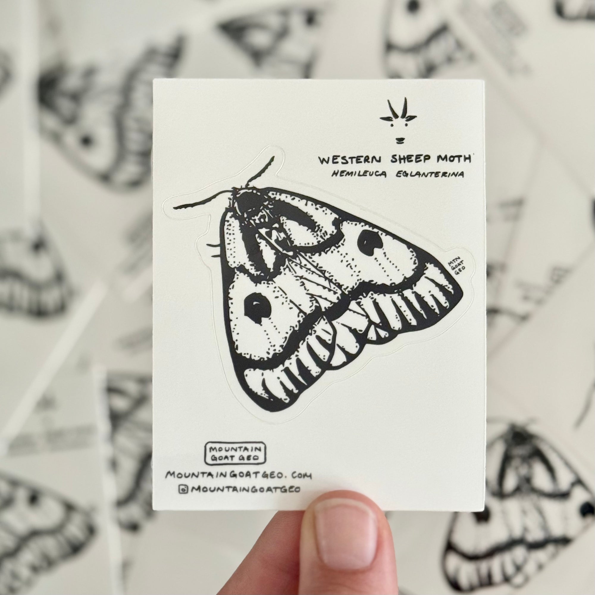 Western Sheep Moth Sticker